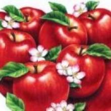 picture of recipe