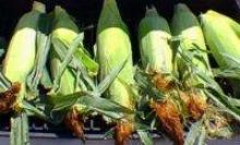 picture of recipe
